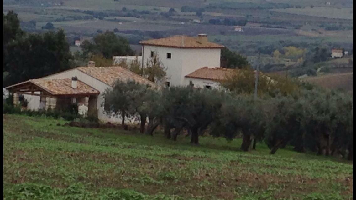 Villa Angiolina, Molise Guglionesi Exteriér fotografie